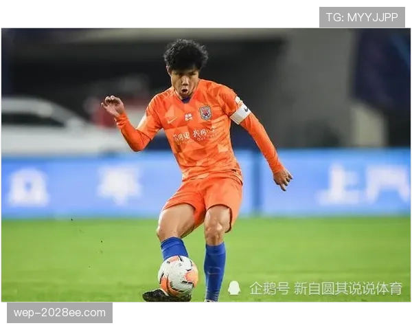 琼阿梅尼：战术角色与表现稳定性是否被高估？